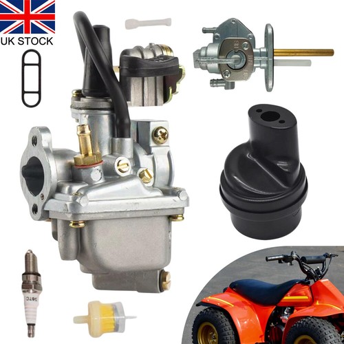 Carburetor air filter box - w/air,
