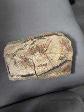 Heavy Slab of Stone. Browns