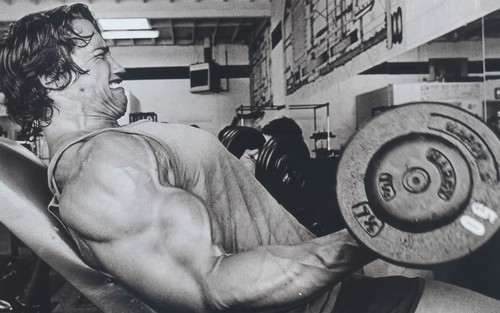 Bodybuilding workout gym - bodybuilding,