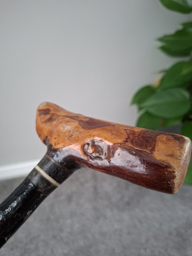Vintage irish blackthorn - irish,