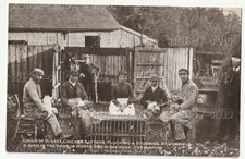 OLD RURAL POSTCARD SUSSEX