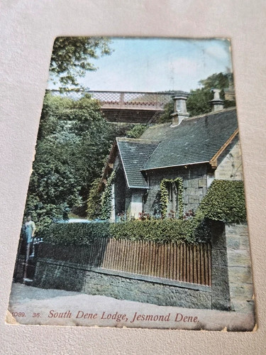 Vintage postcard south dene - postcard,