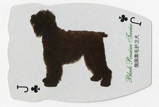 BLACK RUSSIAN TERRIER  SINGLE LARGE NOVELTY DOG COLLECTABLE PLAYING CARD