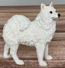 Italian Castagna Samoyed