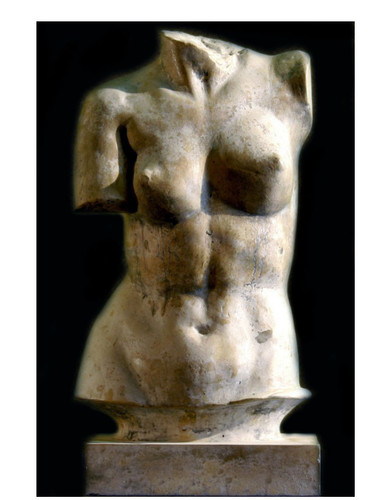 Venus torso statue - venus,