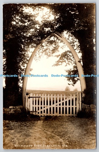 R766461 whale jaw bone - whale,