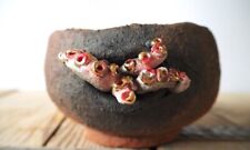 Handmade naked clay planter /