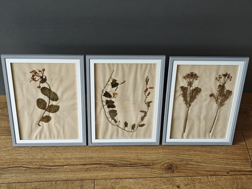 Original antique framed french