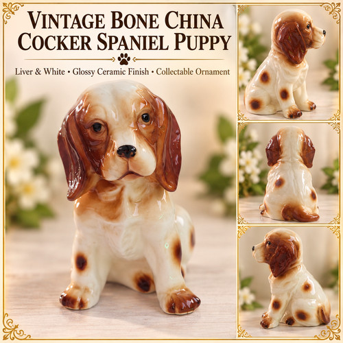 Vintage bone china - bone, cocker