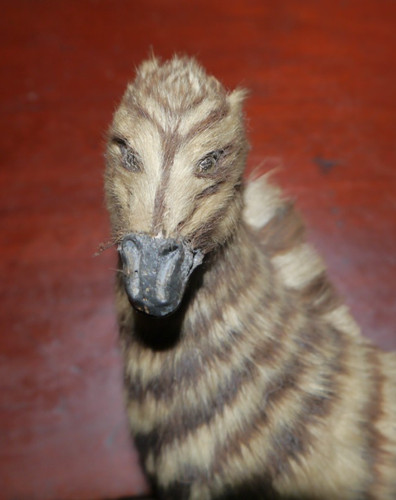 Zebra antique toy - antique, handmade