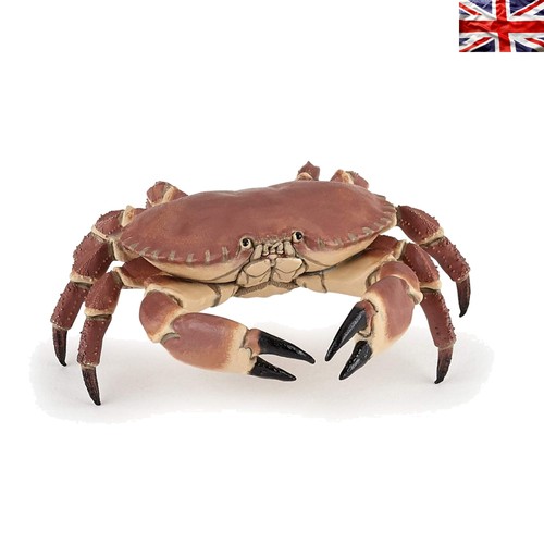 Educational crab toy - educational,