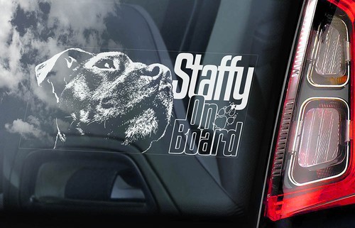 Staffy car sticker staffie - staffy, sticker,