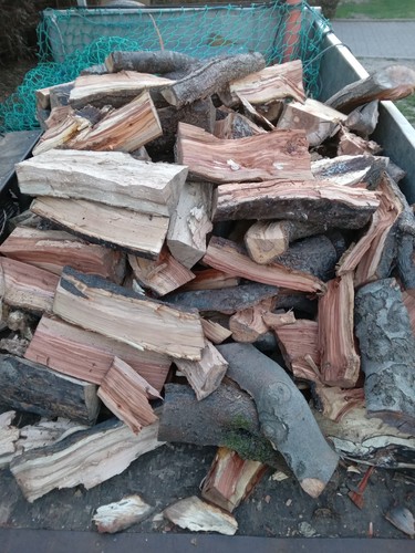 Well seasoned logs fire wood - logs,