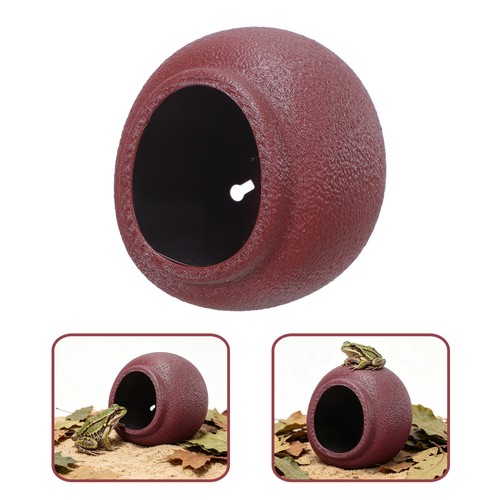 Egg shaped frog - egg, breeding