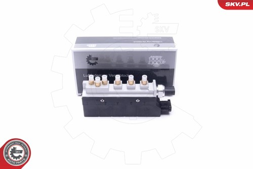 For skv germany - for,
