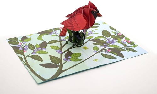 Cardinal pop card - cardinal, 3d