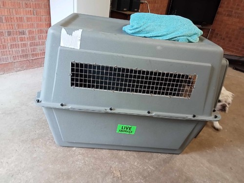 Large animal crate for - large,