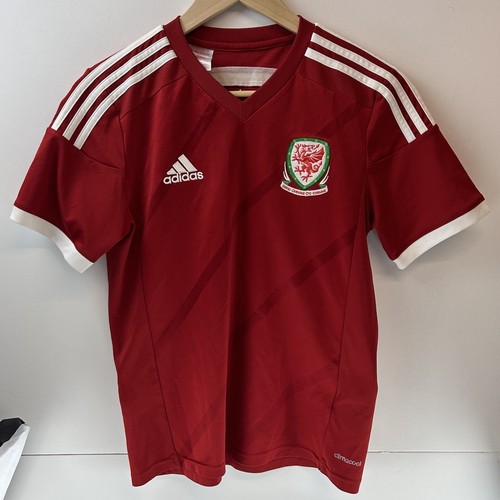 Wales 2013 home football - 2013/14,