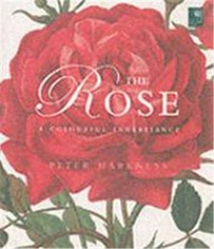 The rose colourful - the,