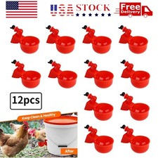 12PCS Chicken Automatic