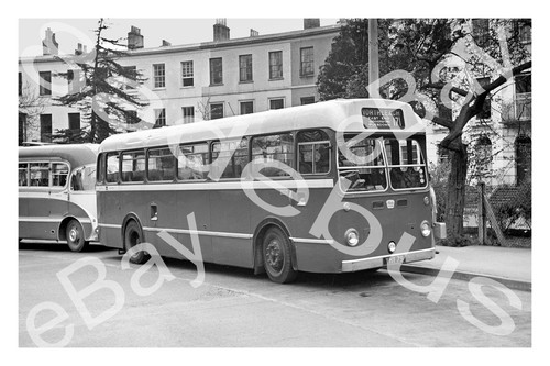 Bus photograph bristol omnibus - photograph,