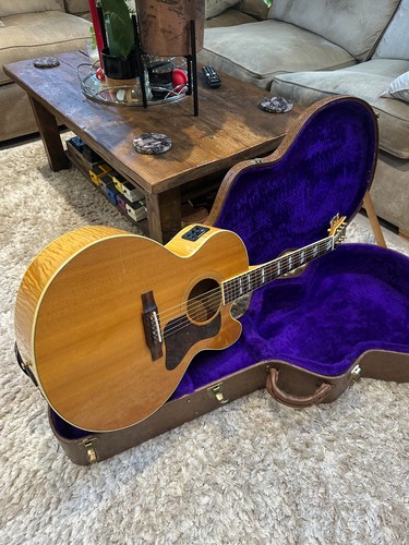 Gibson blues king - gibson, ec-30