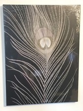 NEW WHITE PEACOCK FEATHER