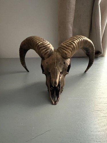 Sheep skull orniment hand - sheep,