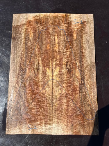 Curly spalted mango - curly,