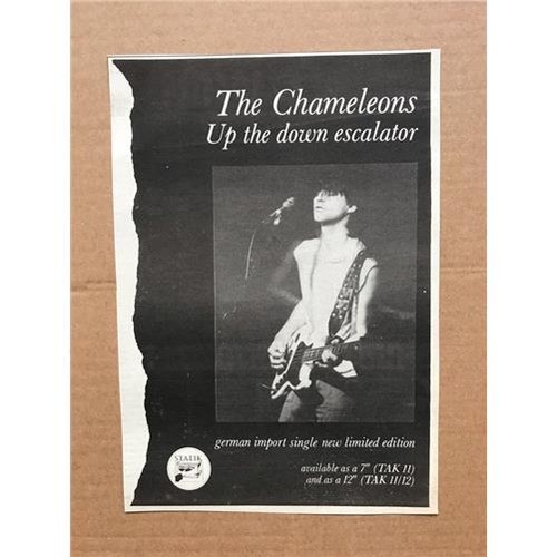 Chameleons the down - up,