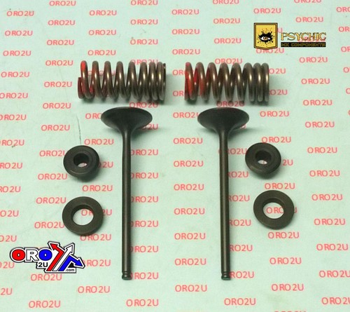 Psychic exhaust valve - exhaust, valve+spring