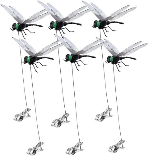 Pack dragonfly clip 3d - 6,