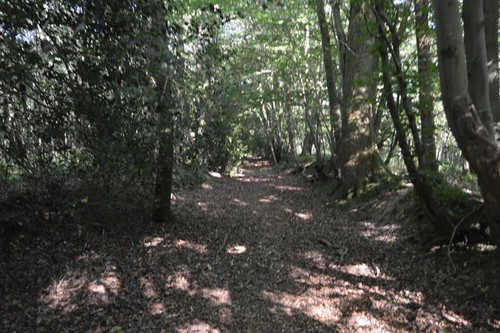 Photo 6x4 hoad lane - lane, ardingly
