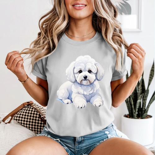 Bichon frise dog - bichon,