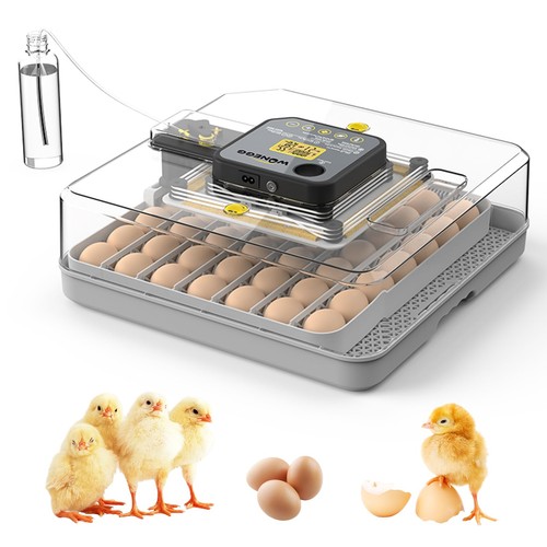 Egg incubator automatic - 48,