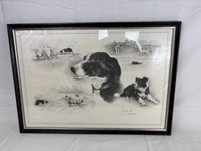 Large Vintage Framed Print, Border Collie By Joel Kirk