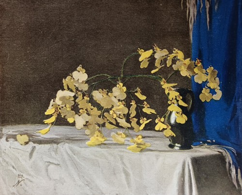 William nicholson the - william,