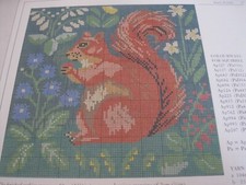 Ehrman squirrel candace - ehrman,