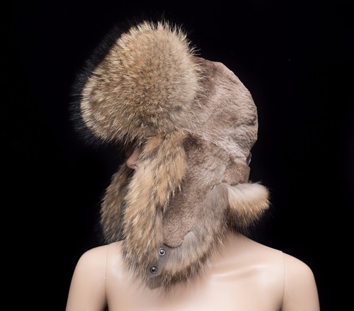 Finn raccoon sheared - sheared, beaver