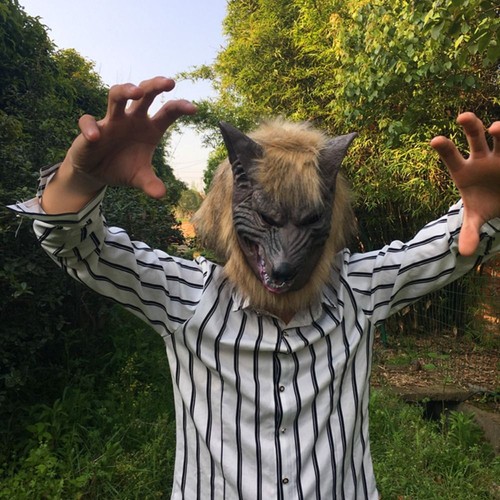 Halloween costume werewolf - halloween,