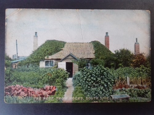 Postcard south shields - postcard:, shields,