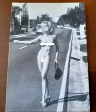 MADONNA - Nude (1992 SEX Book