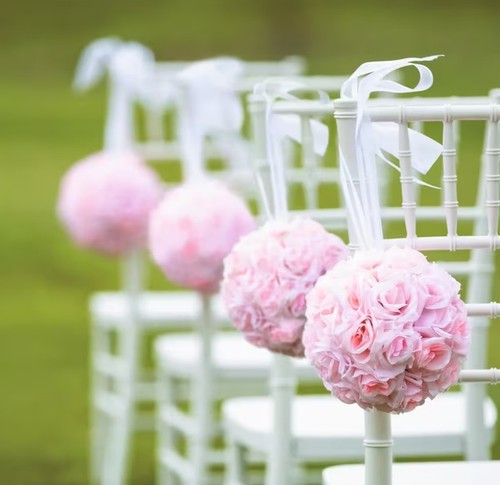 Lot blush pink rose - of,