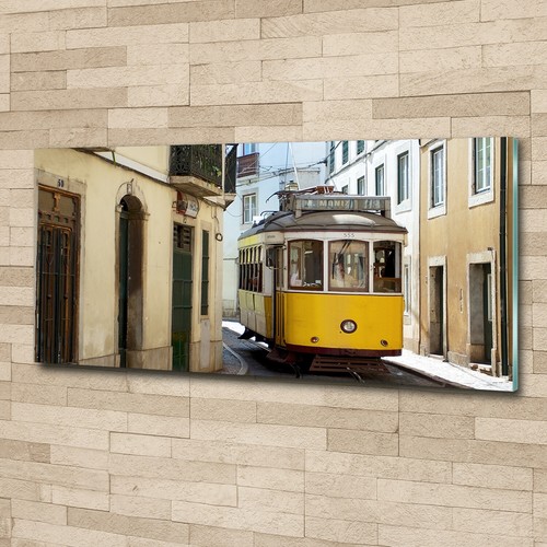 Tulup glass print - print, art