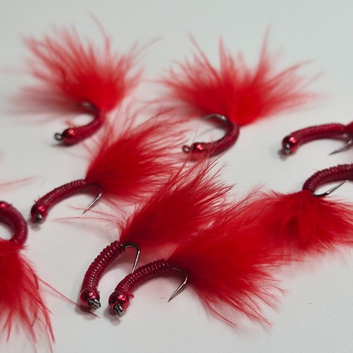 Bloodworm fly fishing - fly,