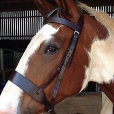 Equipride Plain Hunter Bridle