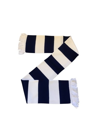 Tottenham hotspur colours - hotspur,