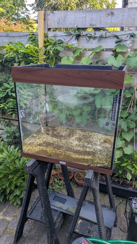 Juwel lido 120 aquarium - juwel,