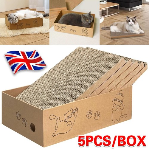 5pc cat scratching - 5pc,