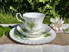 Royal Albert Trillium Trio Set